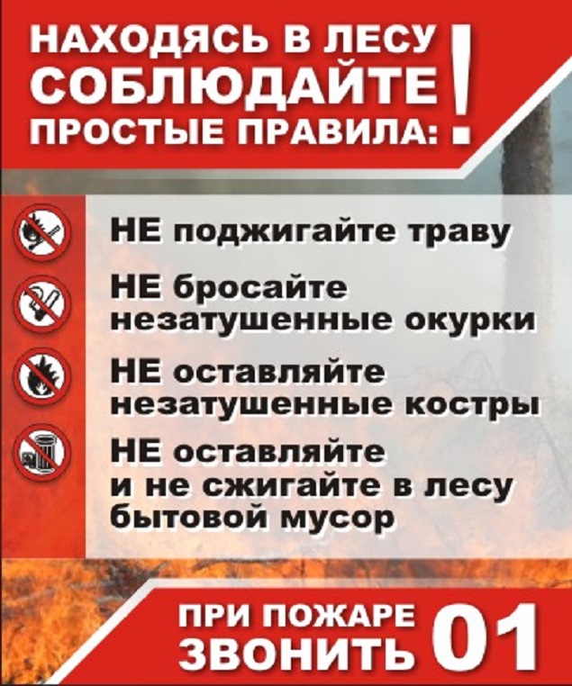pojar-v-lesu.jpg